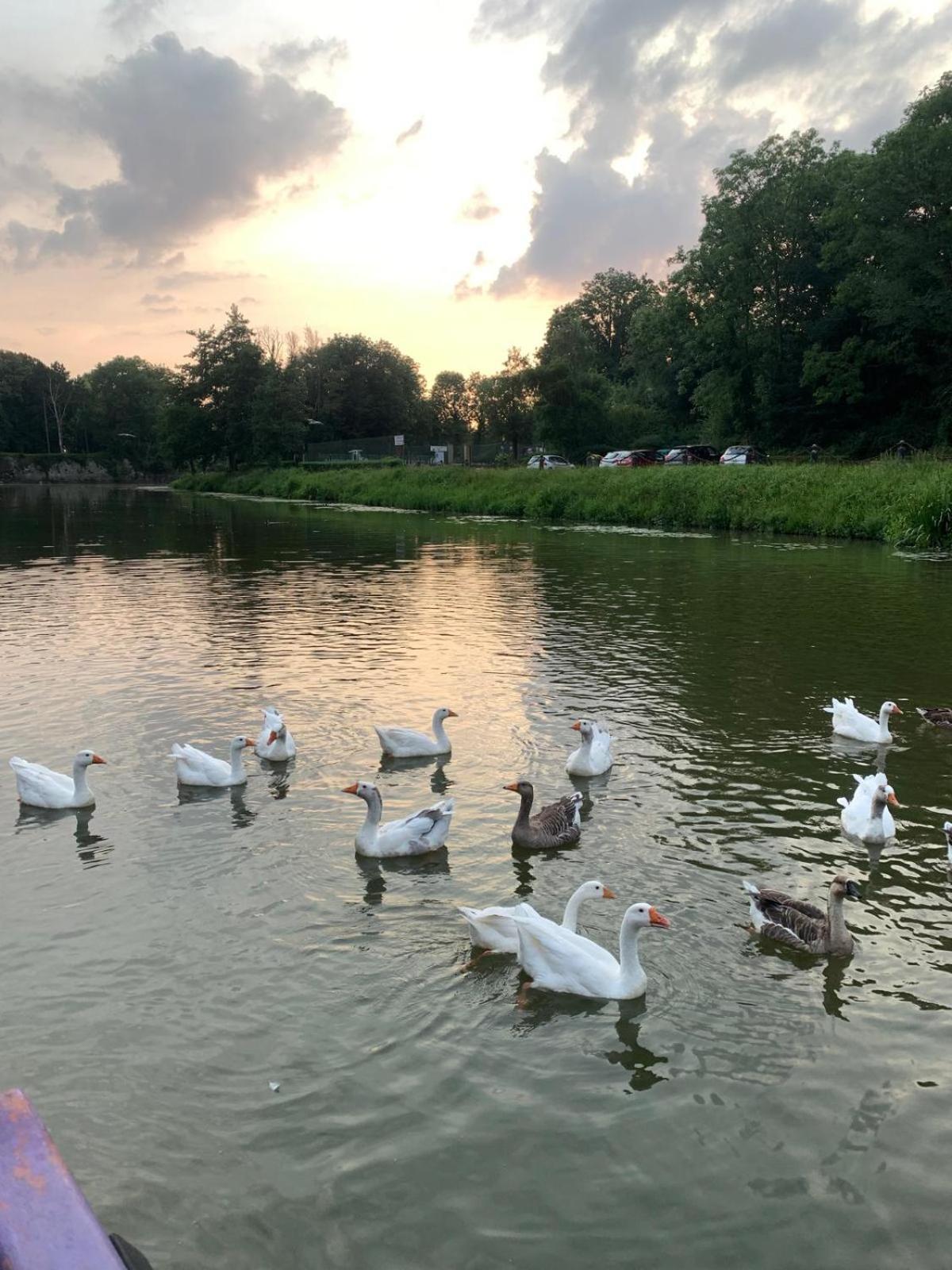 Nuit Insolite A Bord D'Une Peniche, 6 Personnes Bergues Exteriör bild